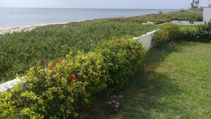 A coastal landscape with a grassy area and a white wall. - Maamoura Beach House (El Maâmoura)
