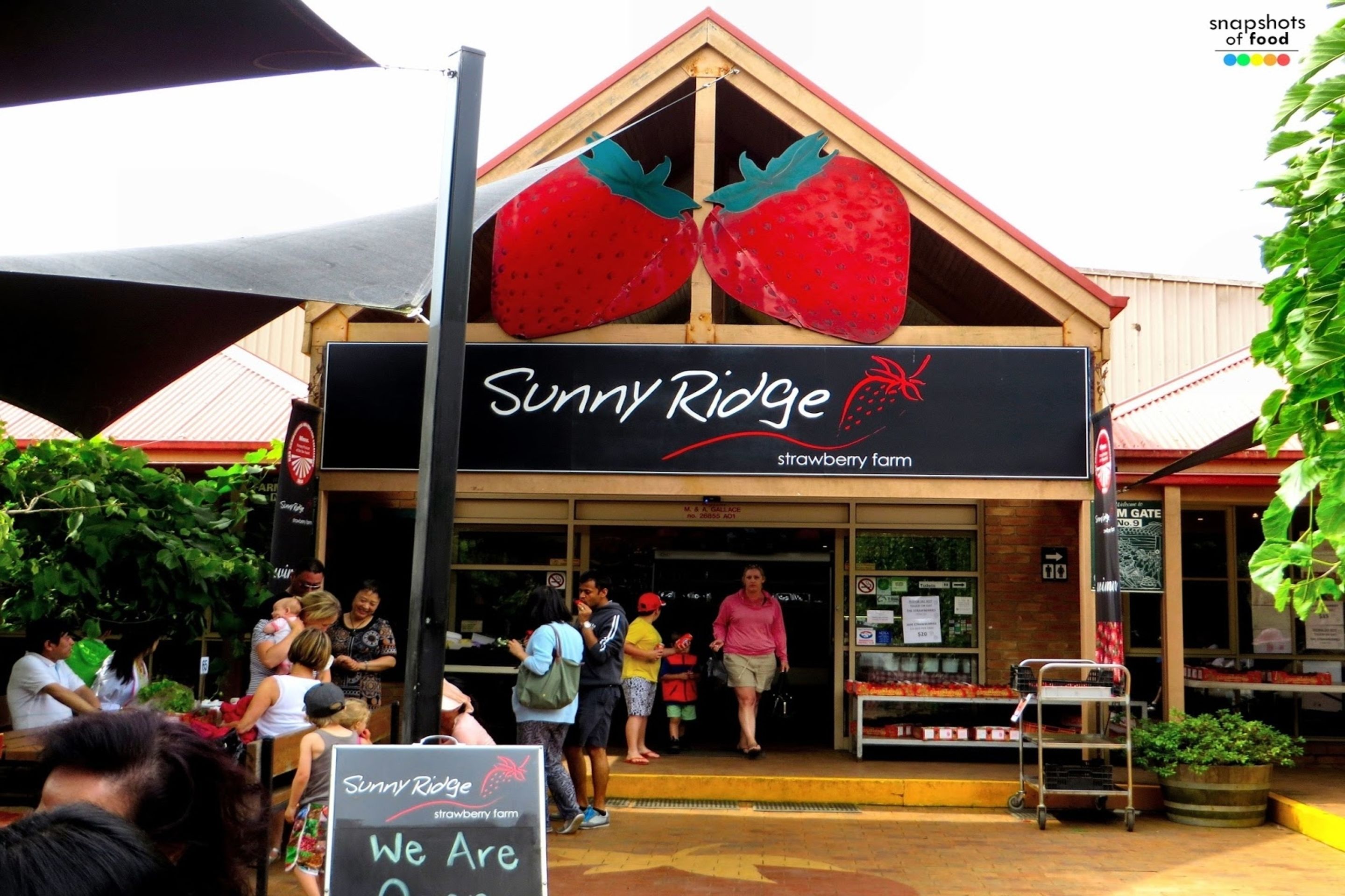 Une ferme aux fraises appelée Sunny Ridge, avec une grande enseigne représentant des fraises.
