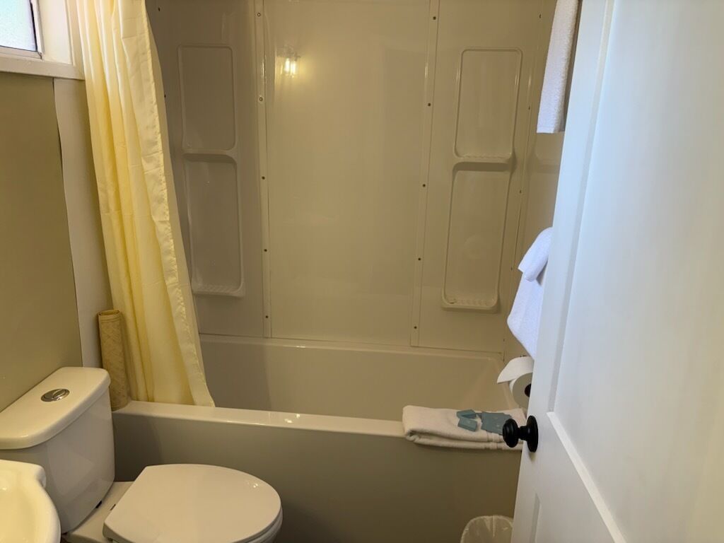 A bathroom with a toilet, bathtub, and shower curtain.