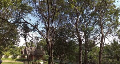 The Bell Farm Eco Resort