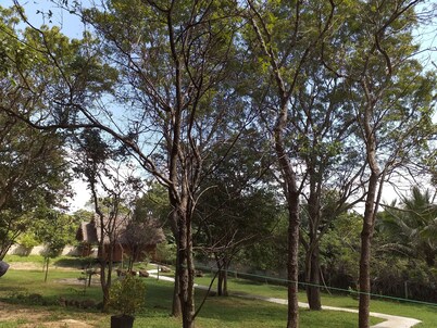 The Bell Farm Eco Resort