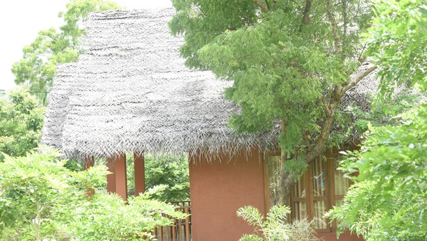 A thatched-roof building surrounded by greenery. - The Bell Farm Eco Resort (Kandalama)