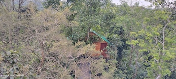 Casa exclusiva en un árbol, vistas al jardín | 5 dormitorios, caja fuerte, escritorio y cortinas opacas