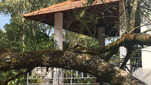 A gazebo with a tiled roof, surrounded by trees and a white fence.
