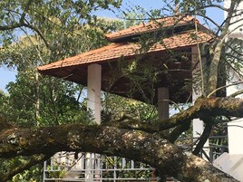 Aðstaða fyrir grillveislur/lautarferðir