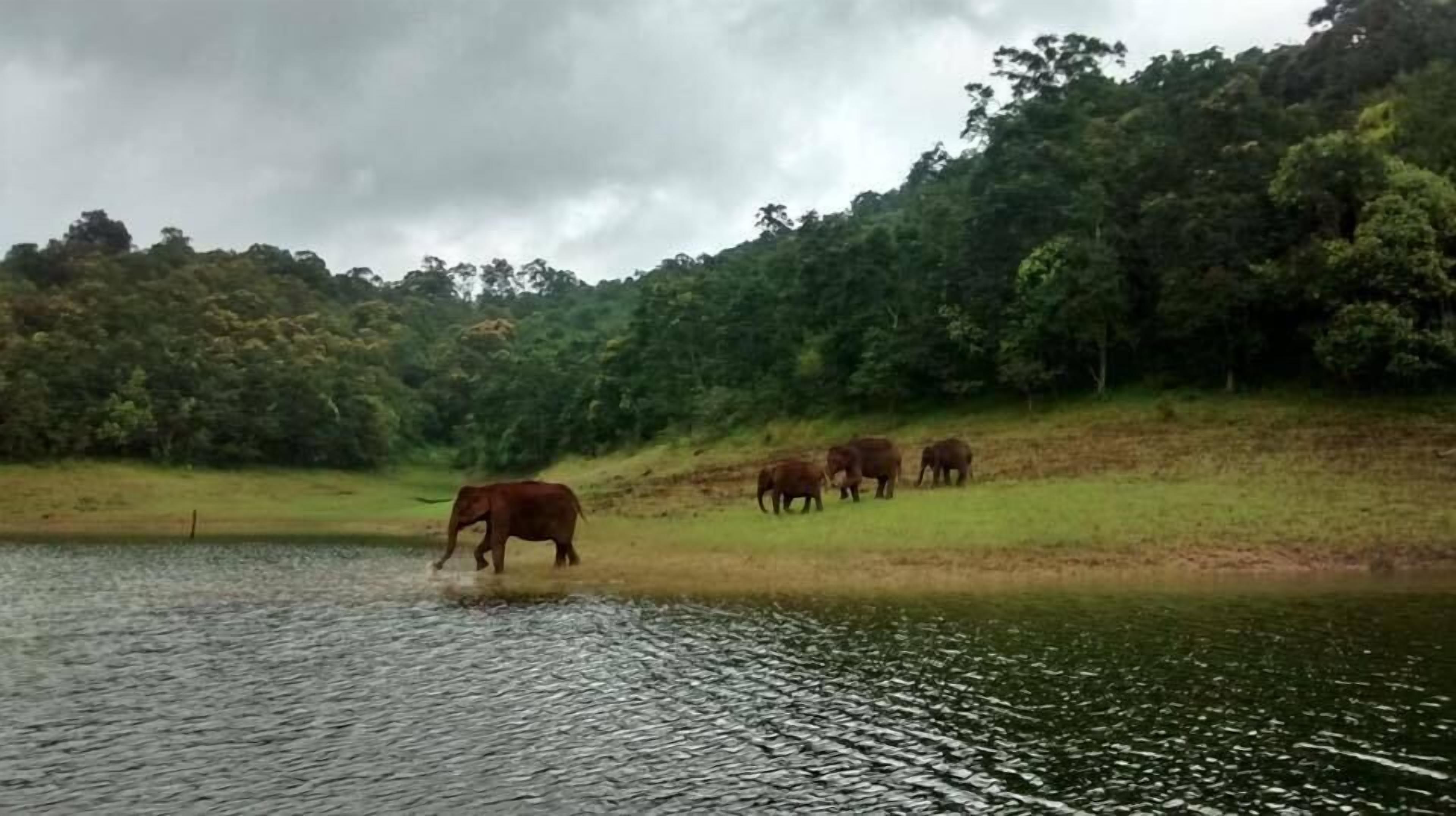 A natural landscape with a body of water and a grassy area.