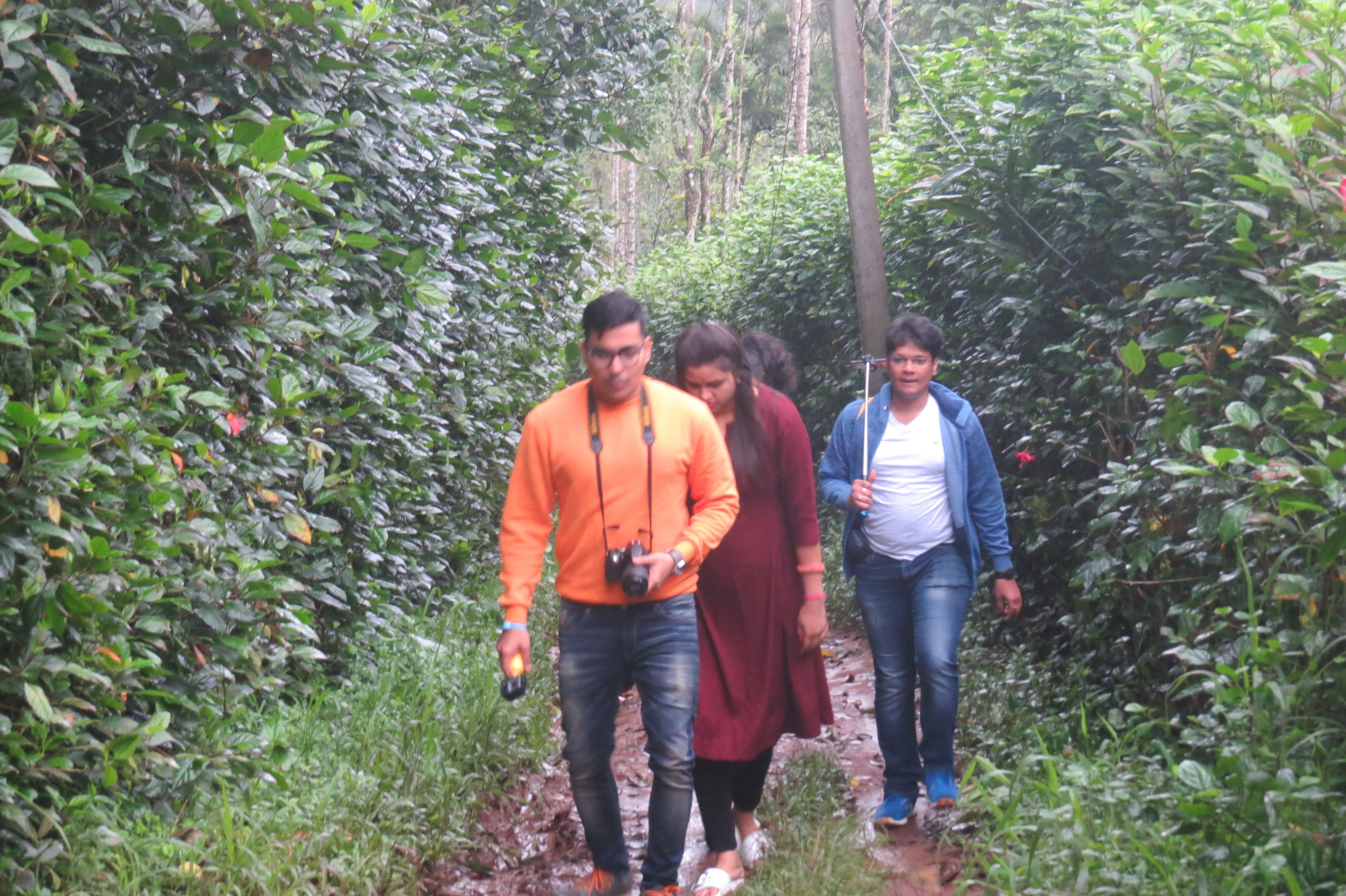 A group of people walking on a narrow path surrounded by dense foliage.