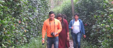 A group of people walking on a narrow path surrounded by dense foliage.