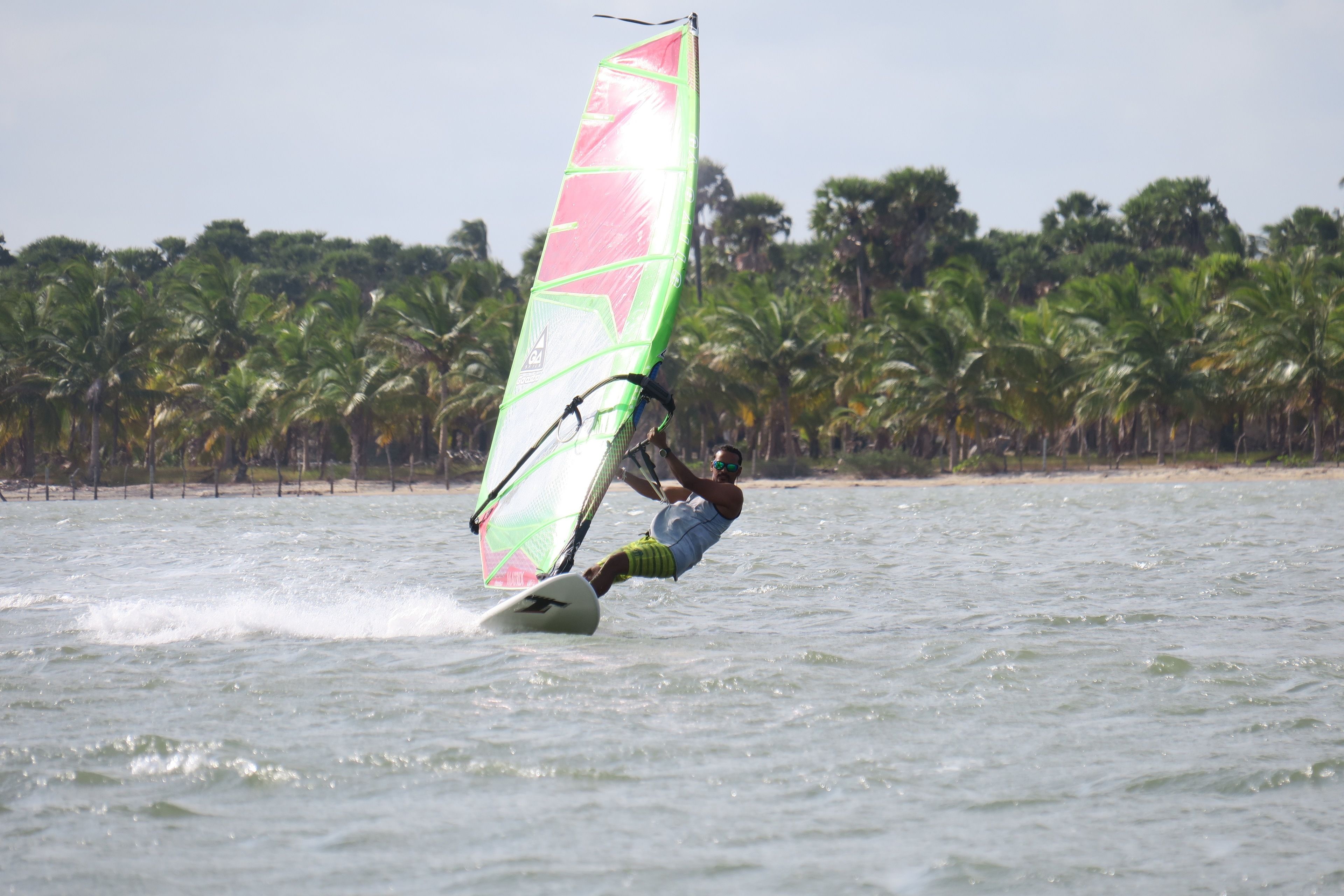 Una persona practicando windsurf en un cuerpo de agua, con una playa y palmeras al fondo.