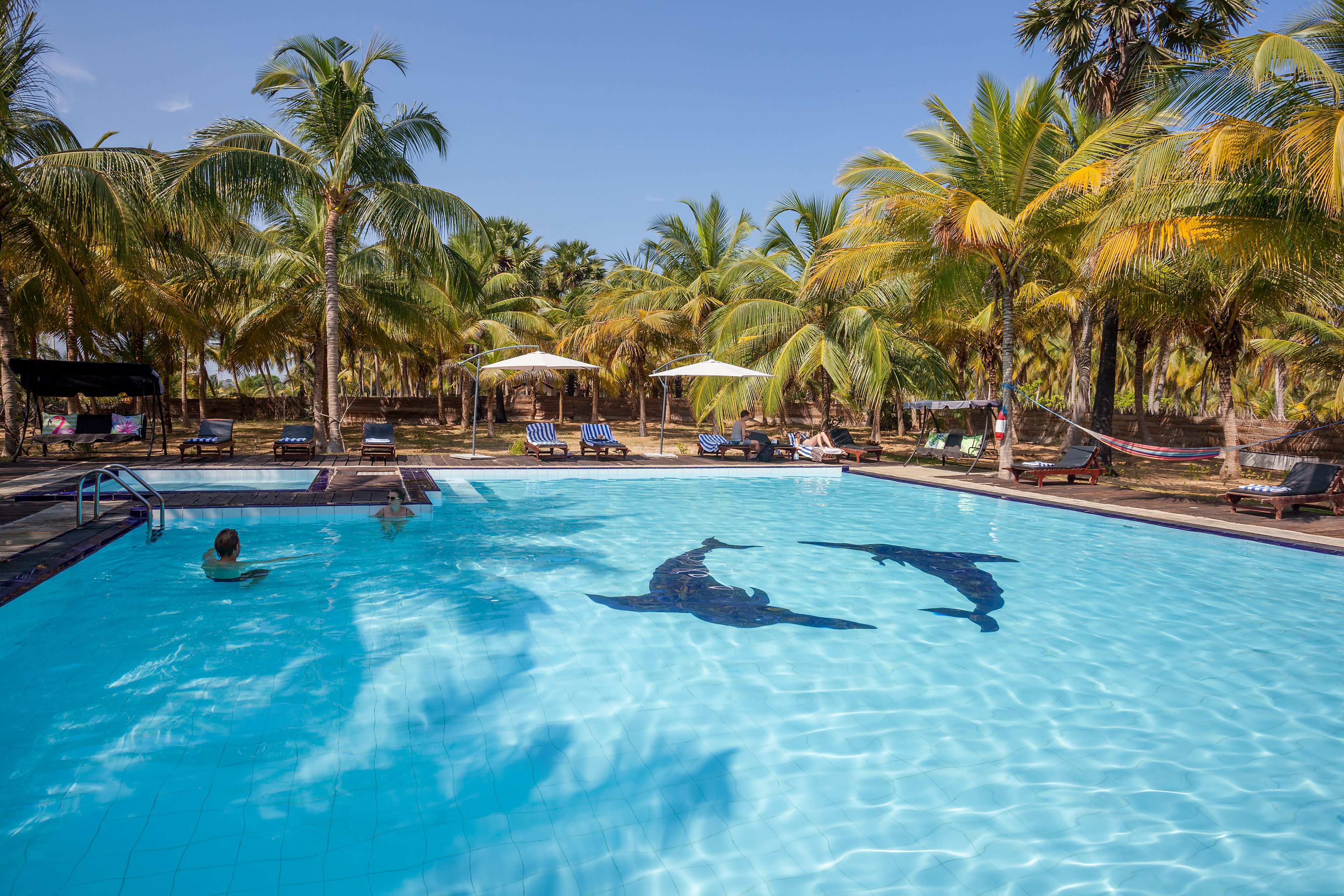 屋外プール、営業時間 8:00 ～ 19:00、カバナ (無料)、プール パラソル