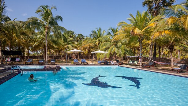 A swimming pool with lounge chairs and palm trees. - De Silva Windresort Kalpitiya (Kalpitiya)