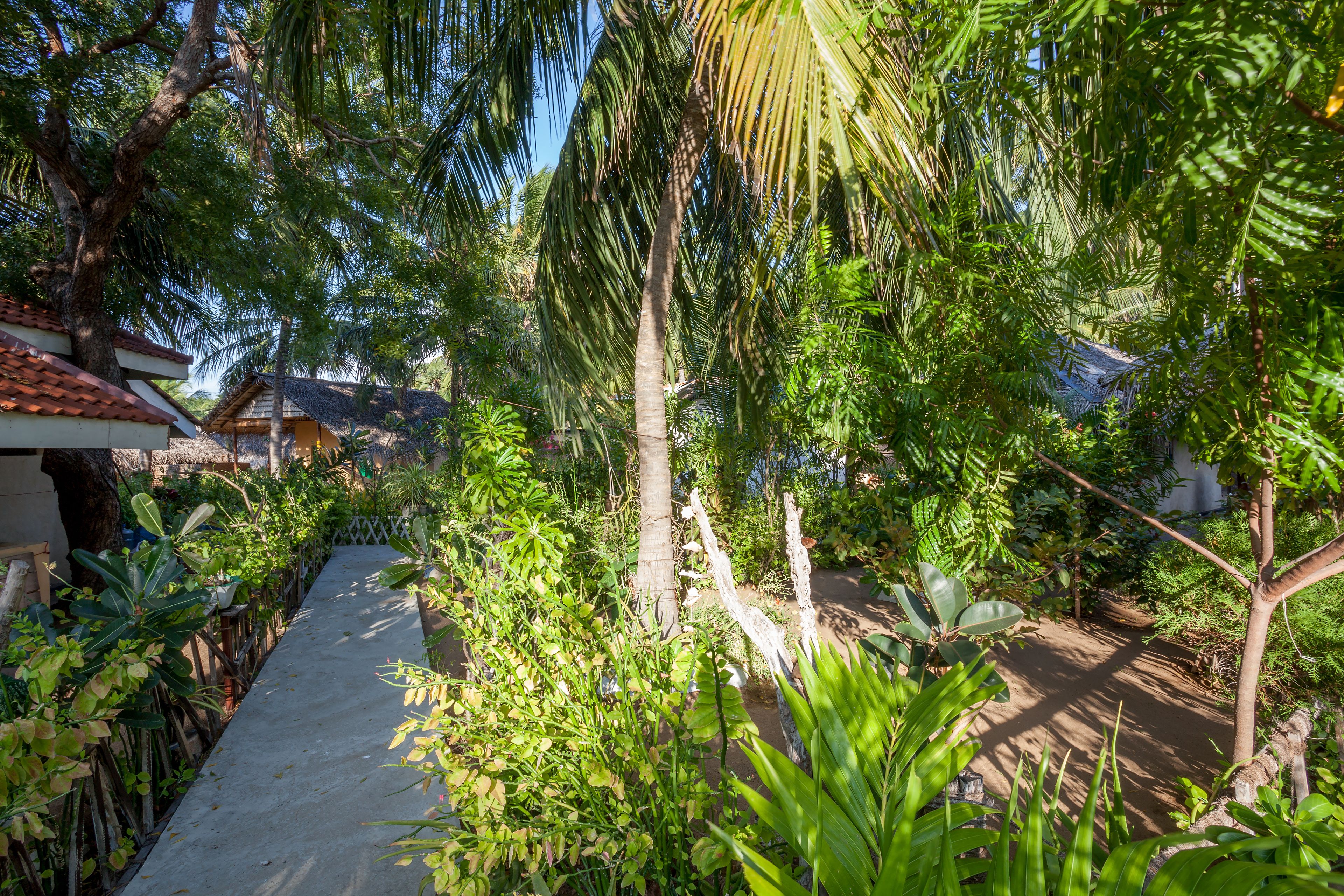 ファミリー バンガロー ベッド (複数台) 禁煙 | デスク、ベッドシーツ