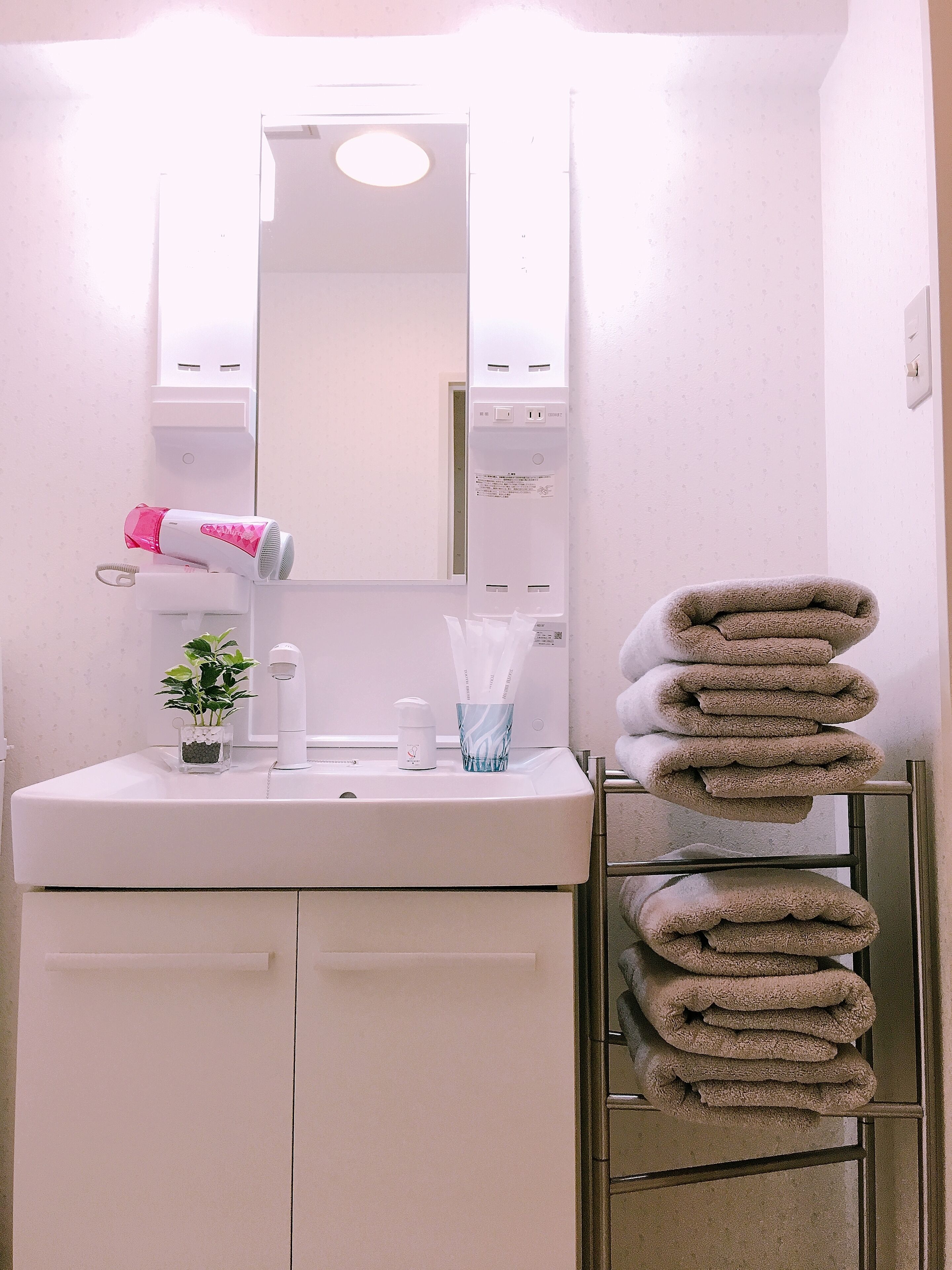 A bathroom with a sink, mirror, towel rack, and a small plant.