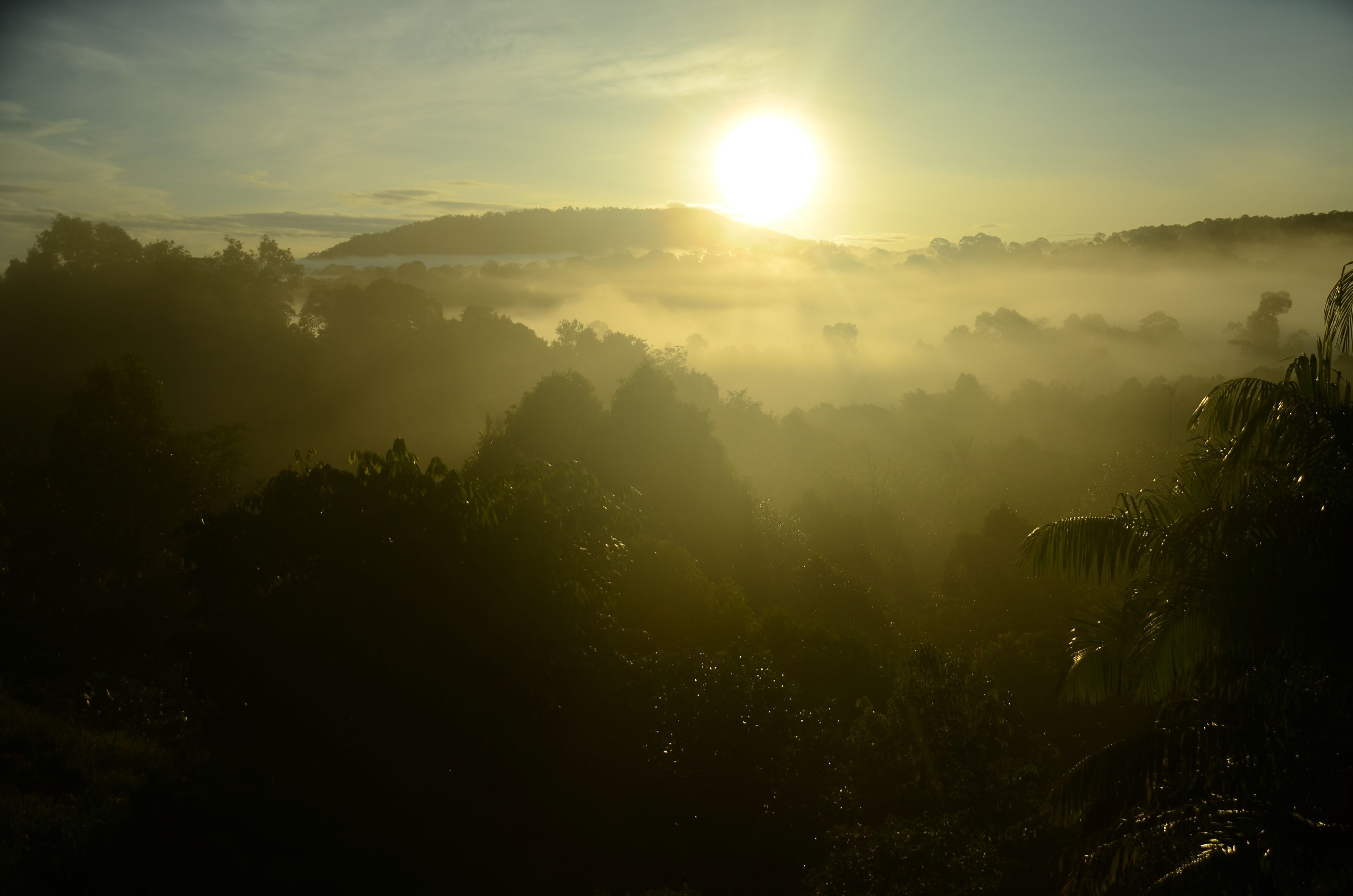 A sunrise over a misty landscape with trees and hills.