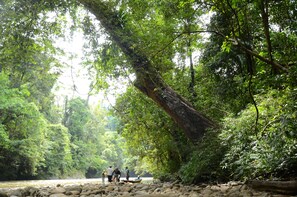 المنطقة المحيطة بالمنشأة