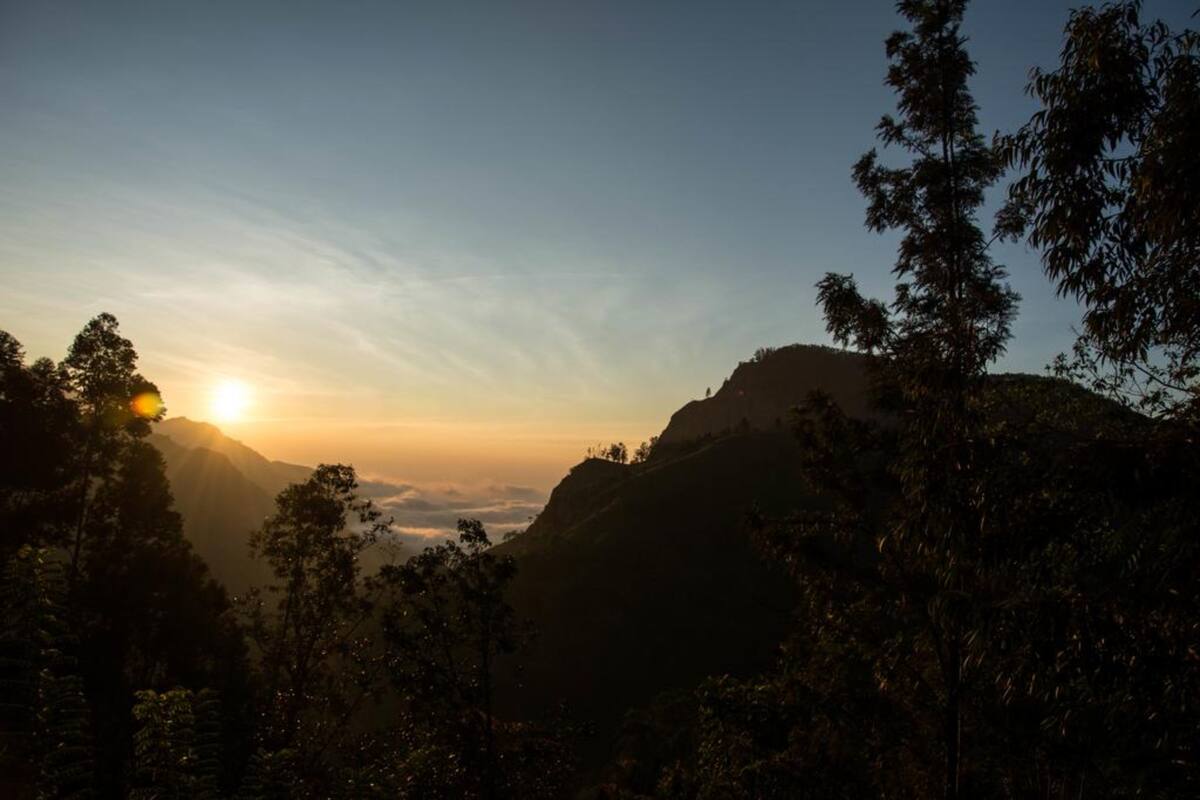 A mountainous landscape during sunset with trees in the foreground.