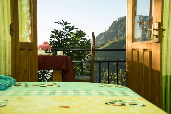 View from room