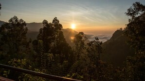 山景