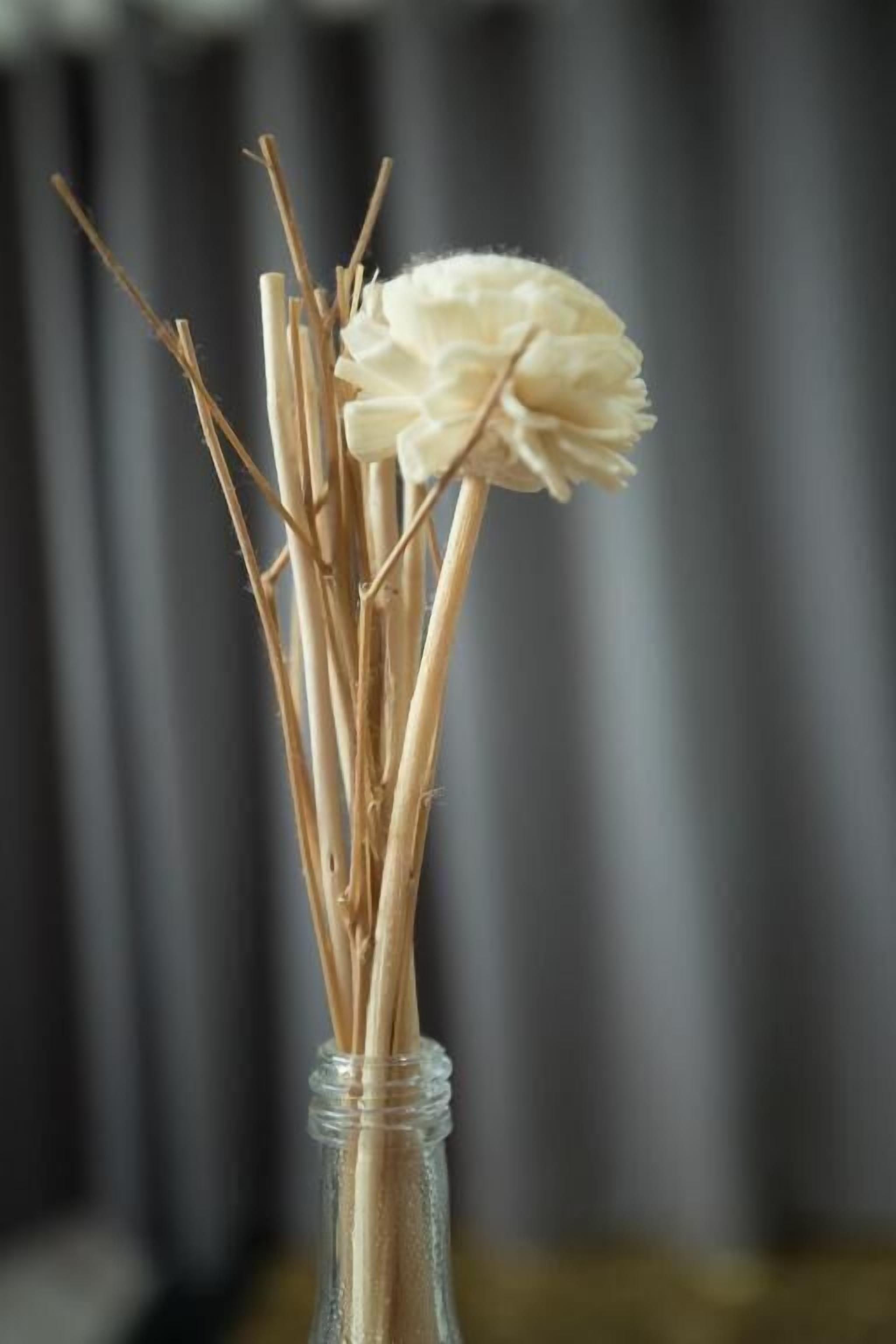 Foto - C.Samui Guesthouse