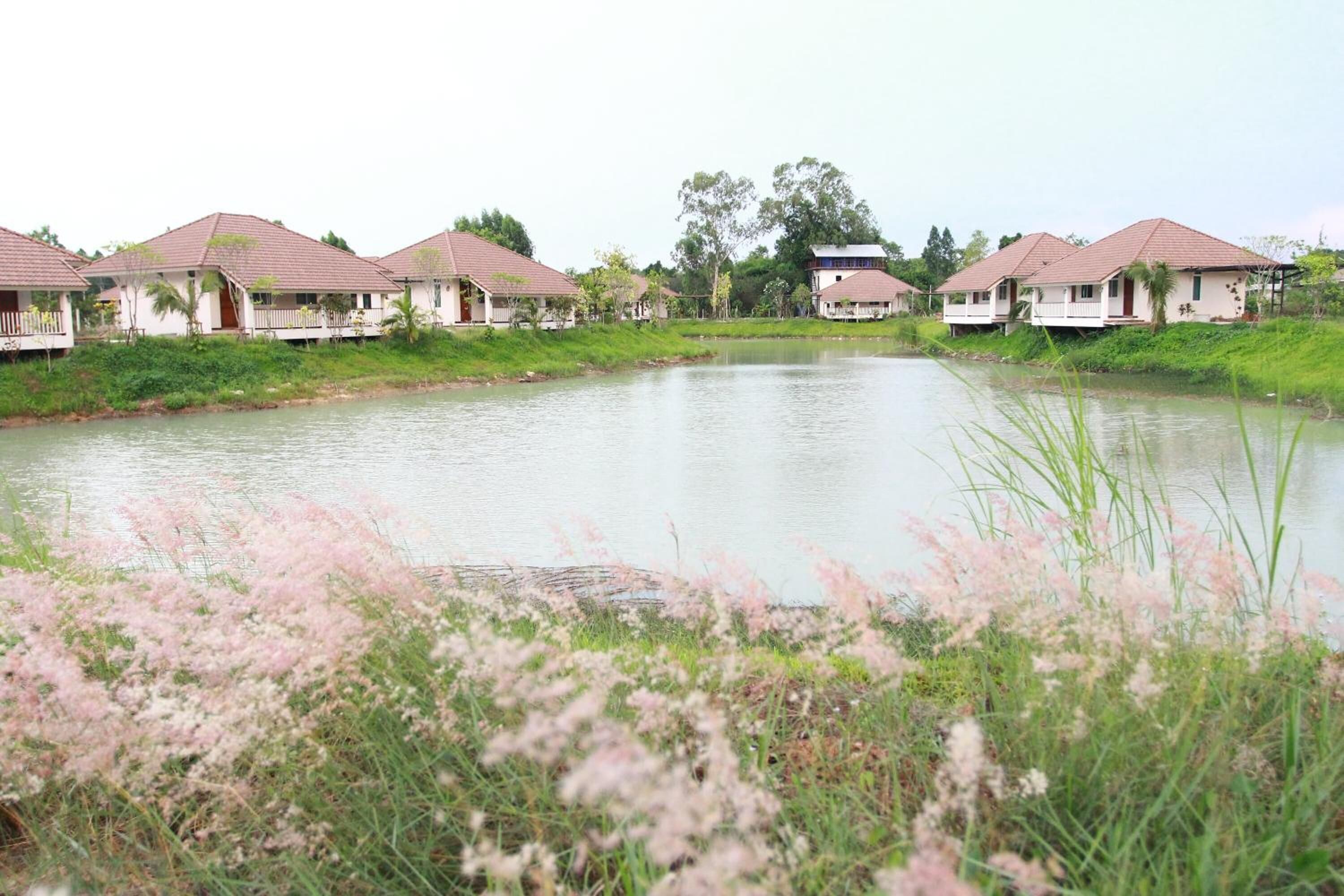 Une rangée de maisons de plain-pied, avec un petit étang au premier plan.
