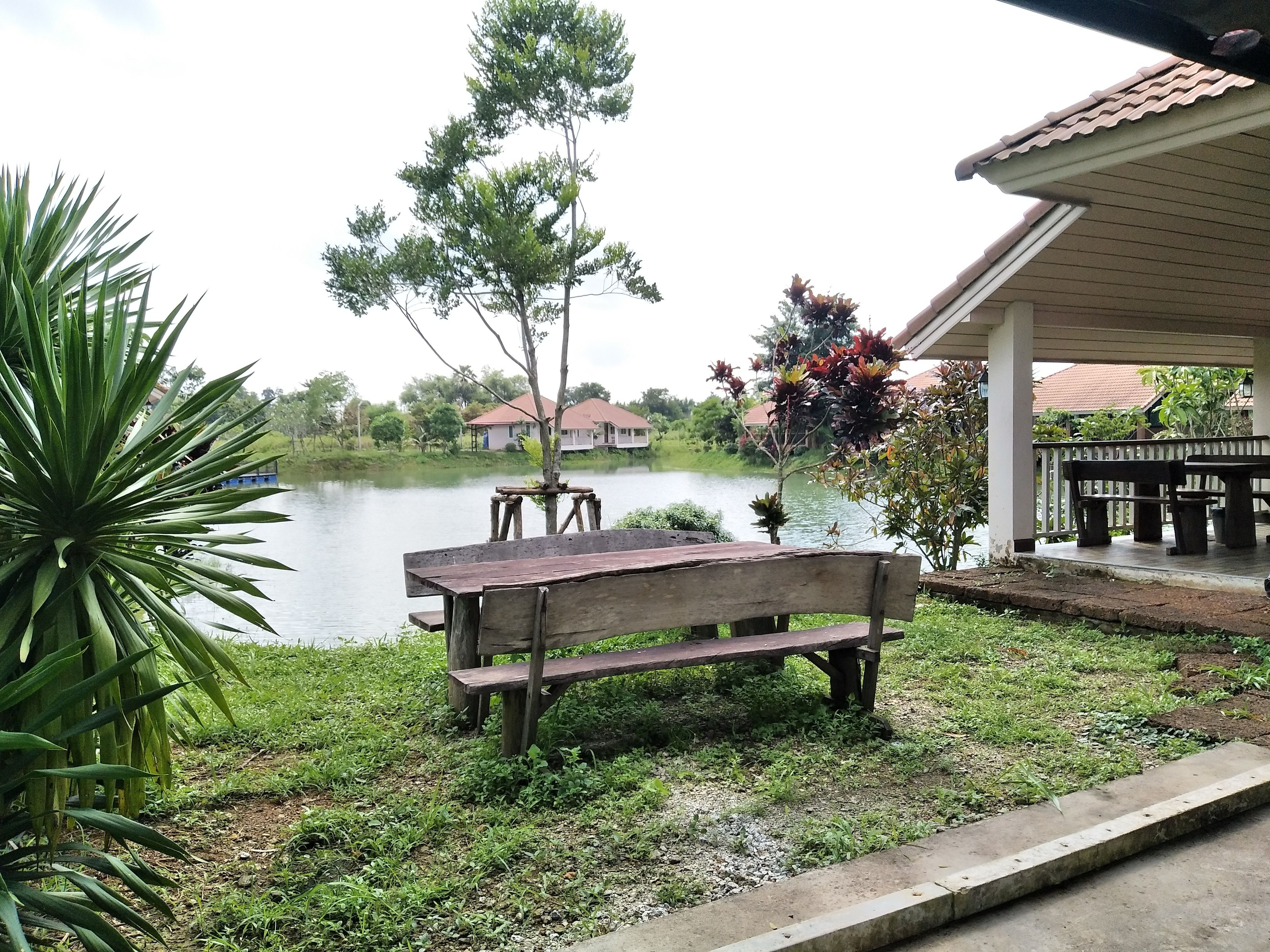A wooden bench by a calm lake, surrounded by greenery and a small pavilion.