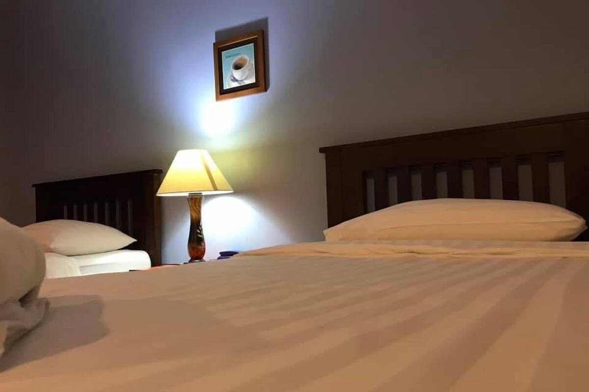 Habitación estándar con 2 camas individuales | Caja fuerte, escritorio, cortinas opacas y wifi gratis