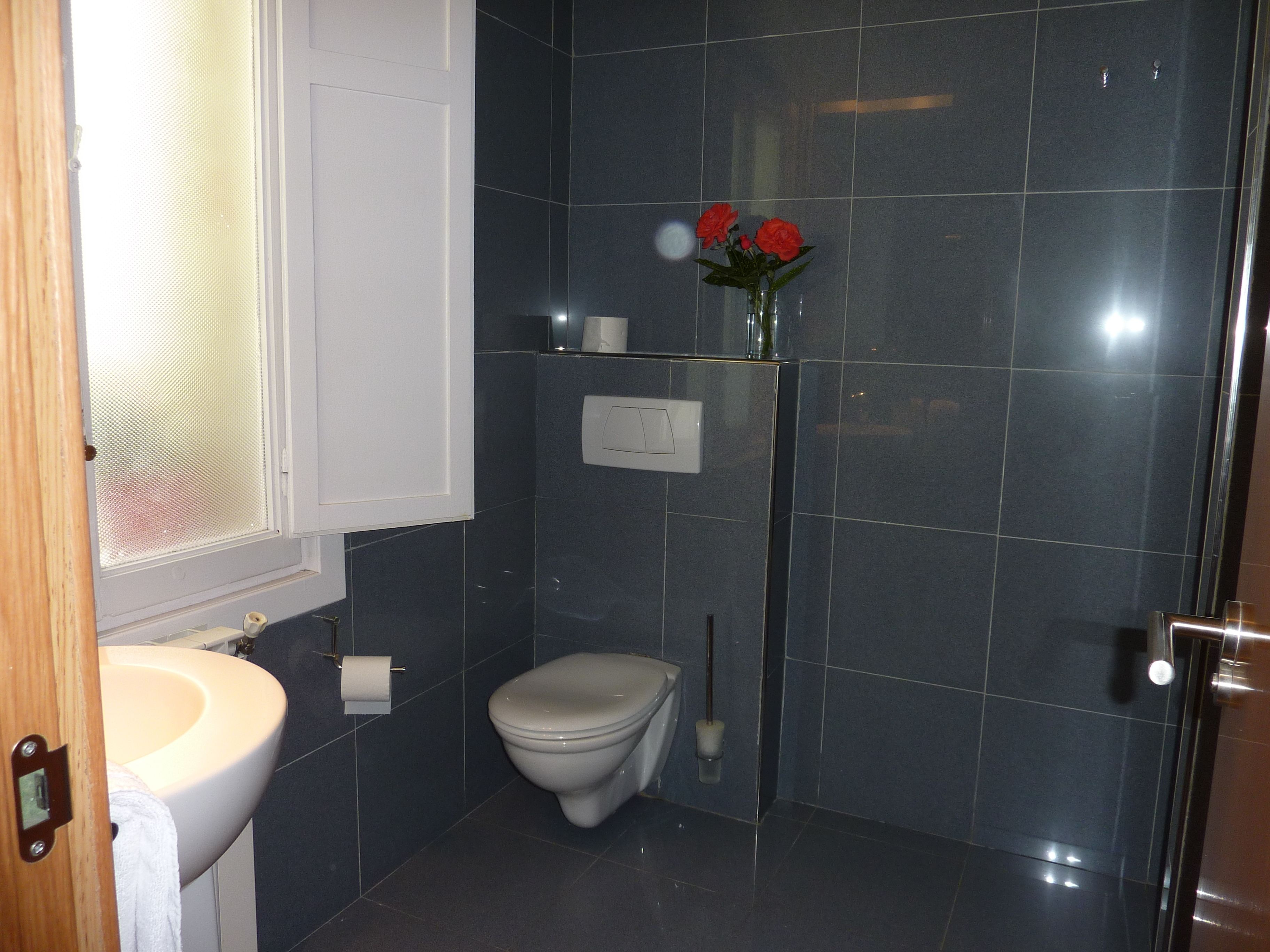 free toiletries, hair dryer, bidet, towels