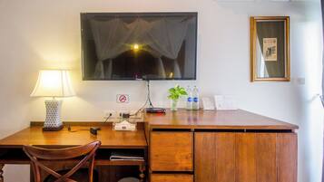 A wooden desk with a lamp, a television, a plant, and a framed picture on the wall.