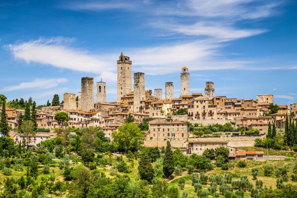 A historic town with medieval towers and buildings, surrounded by greenery. - Agriturismo Pompilia (Volterra)