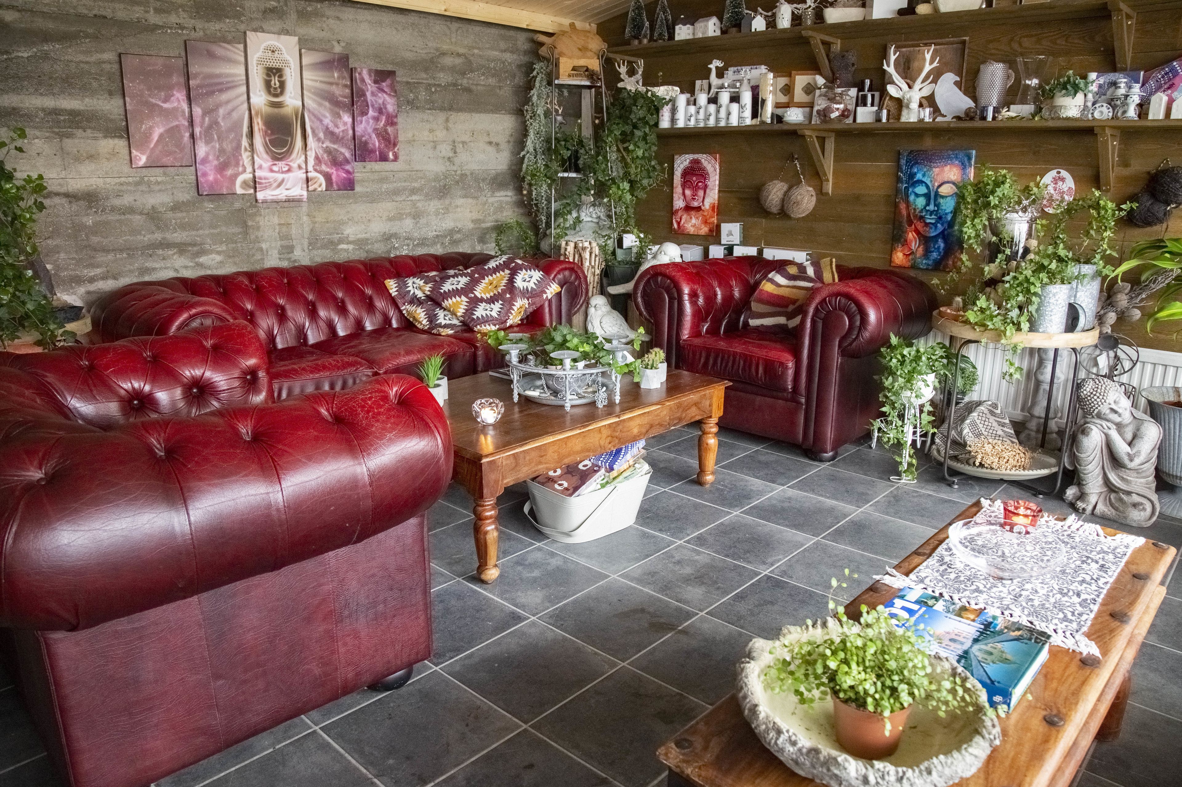 Una sala de estar acogedora con sofás de cuero rojo, una mesa de centro de madera y varios objetos decorativos, como plantas y obras de arte.