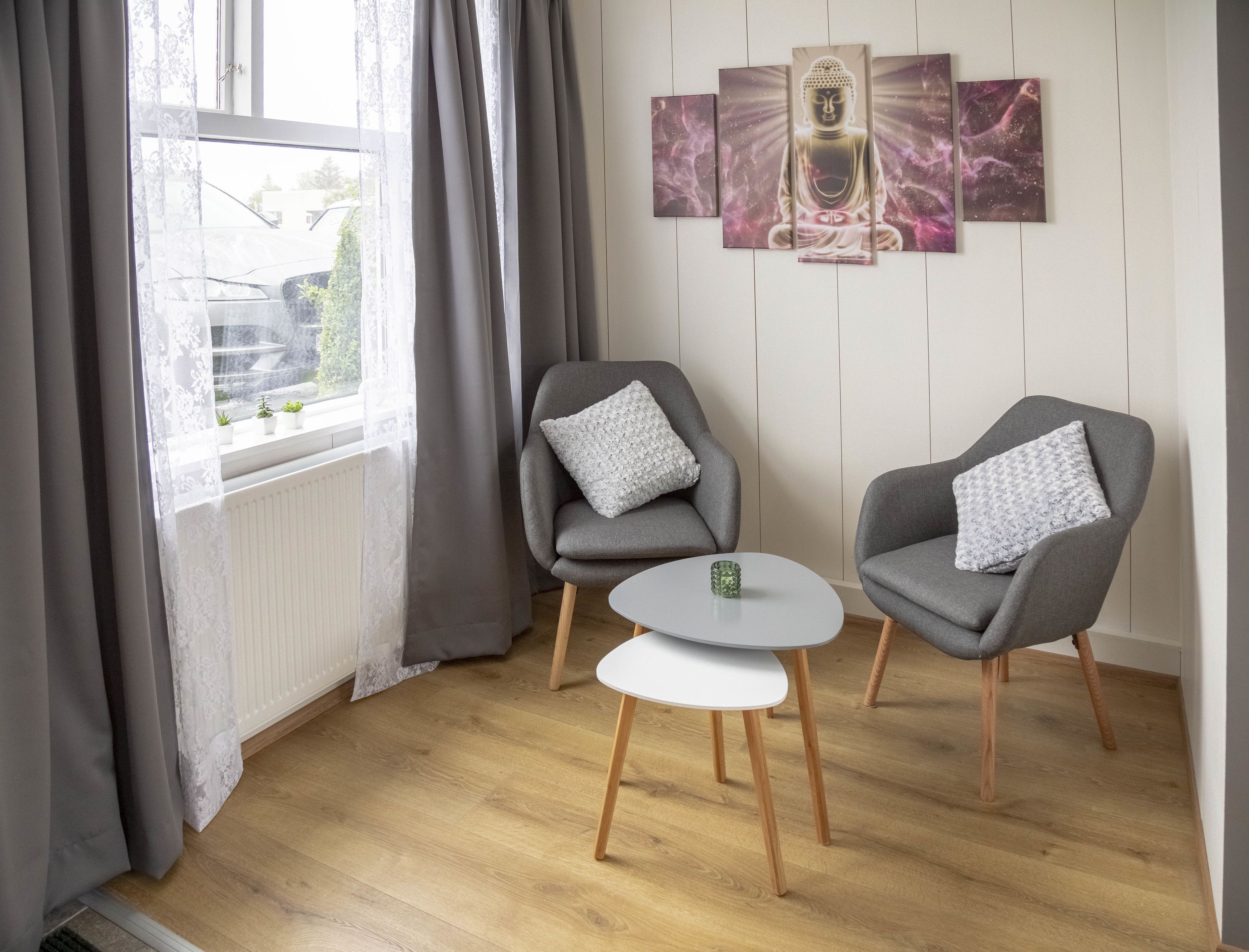 apartment (traustastofa) | living area