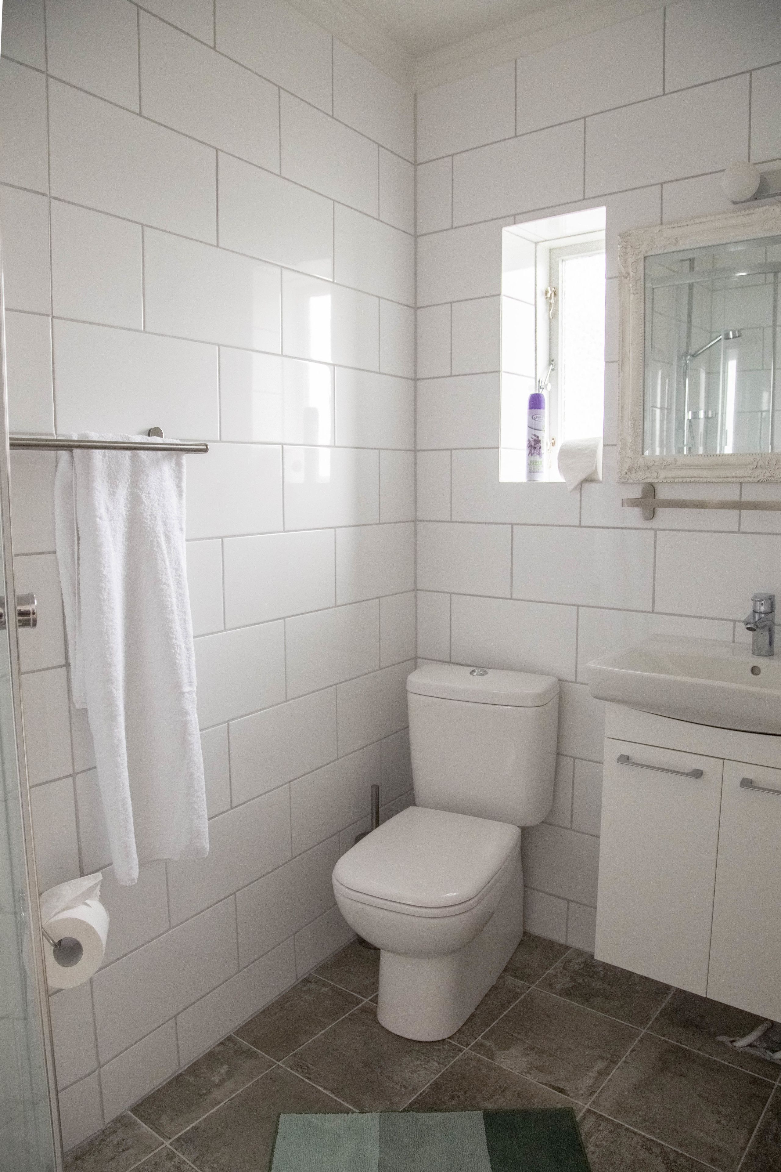 apartment (traustastofa) | bathroom | shower, free toiletries, hair dryer, towels