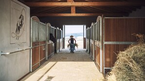 Horseback riding - Agriturismo Panieracci (Volterra)