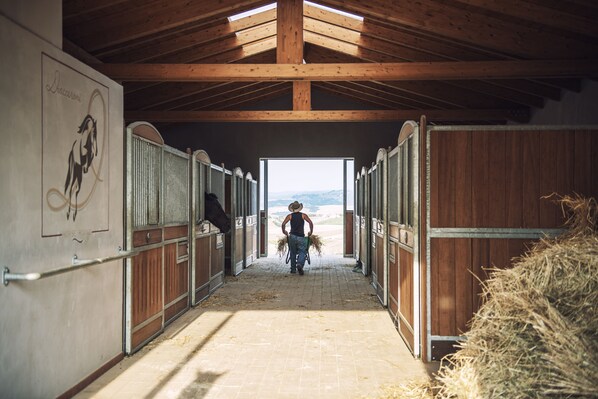Horseback riding - Agriturismo Panieracci (Volterra)