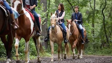 Three people riding horses on a dirt path in a forested area.