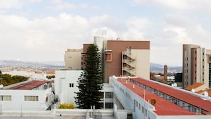 A modern building with a central tower, multiple balconies, and a large tree in front. - Rosebank Accommodation (Johannesburg)