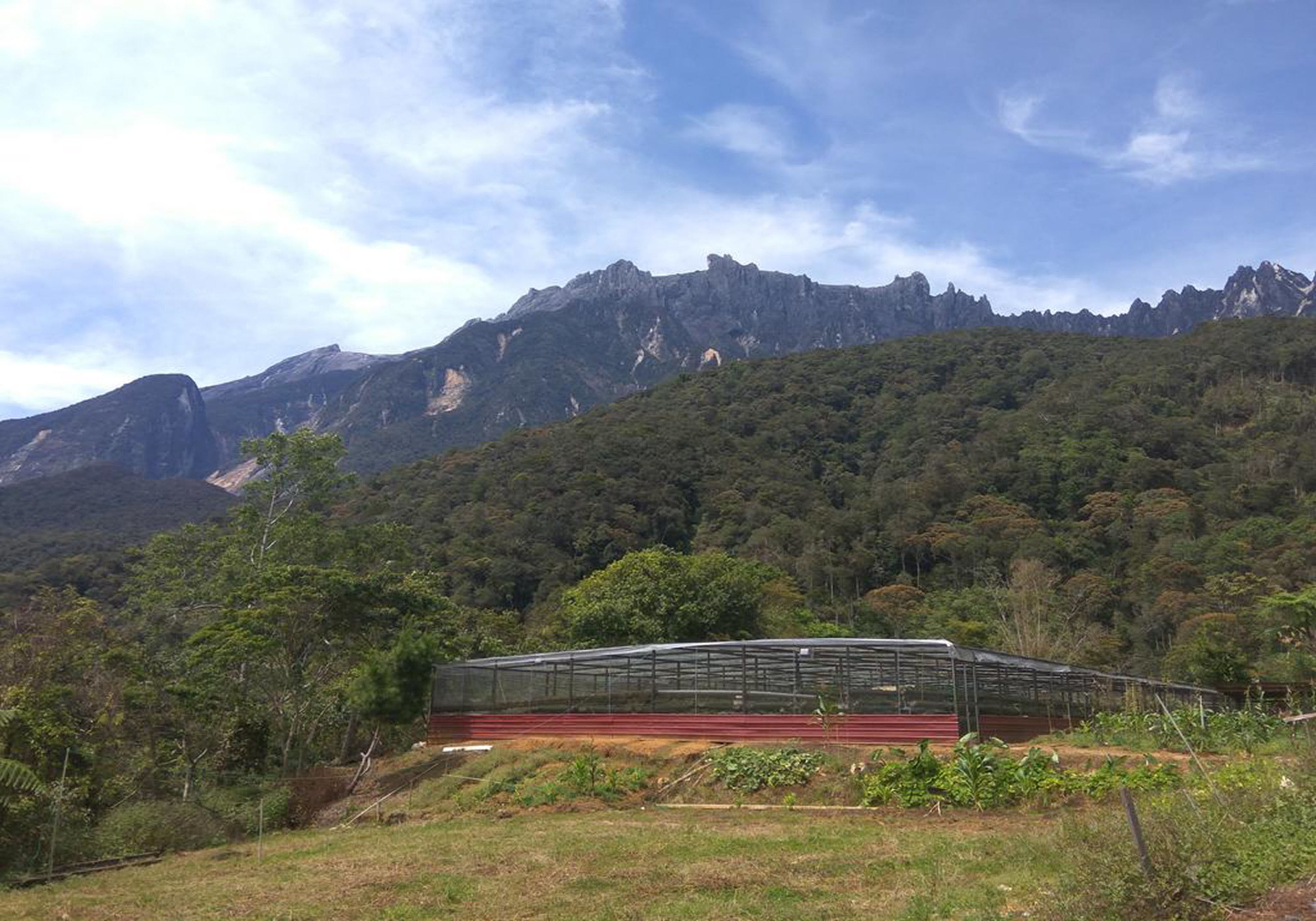 A greenhouse structure with a red base and metal framework, surrounded by a forested hillside and mountains in the background.