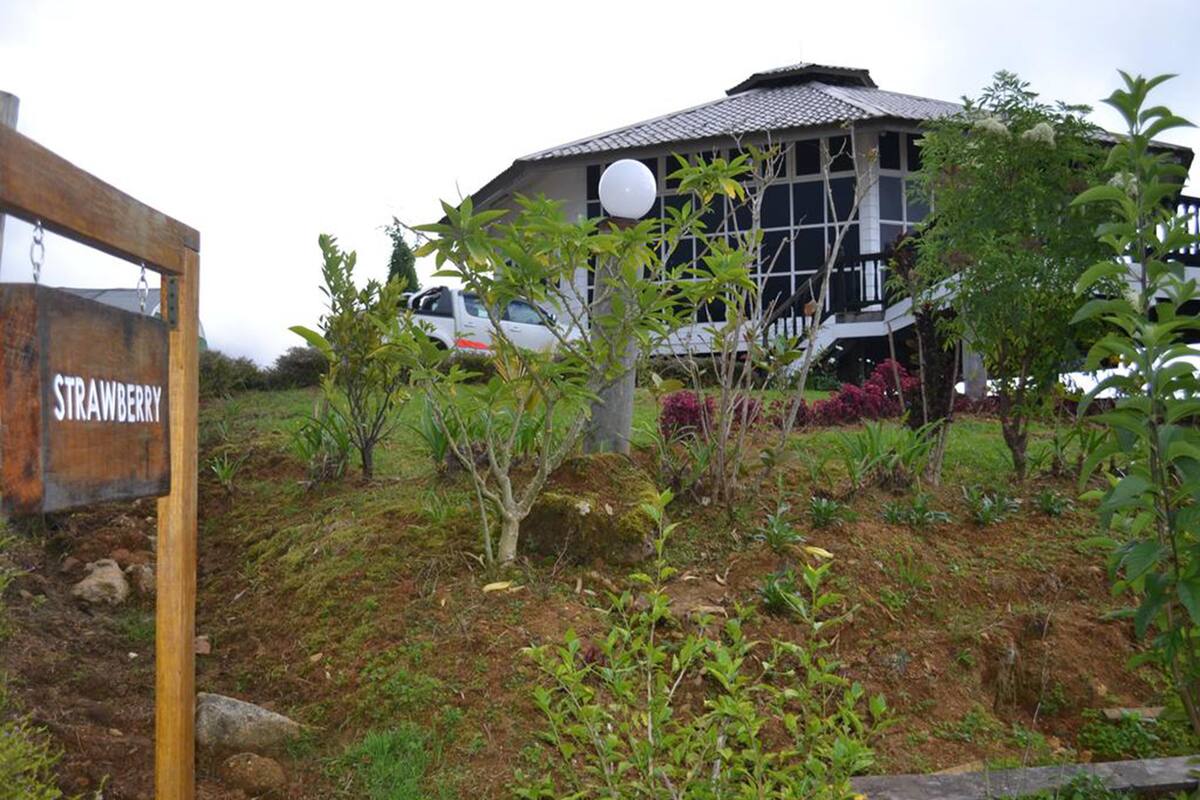 Chalet Standar, 3 kamar tidur (Strawberry) | Teras/patio