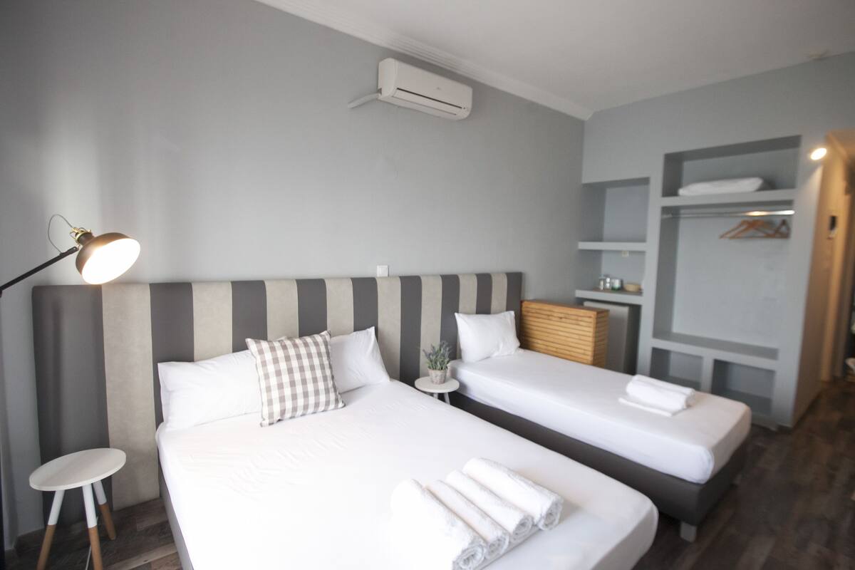 A hotel room with two beds, a bedside table, a lamp, an air conditioning unit, and a small table with a plant.