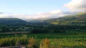 A rural landscape with rolling hills, fields, and scattered trees. - The Kestrel B&B (Crickhowell)