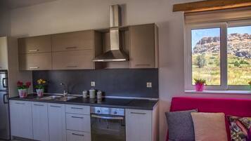 Full-size fridge, microwave, oven, stovetop