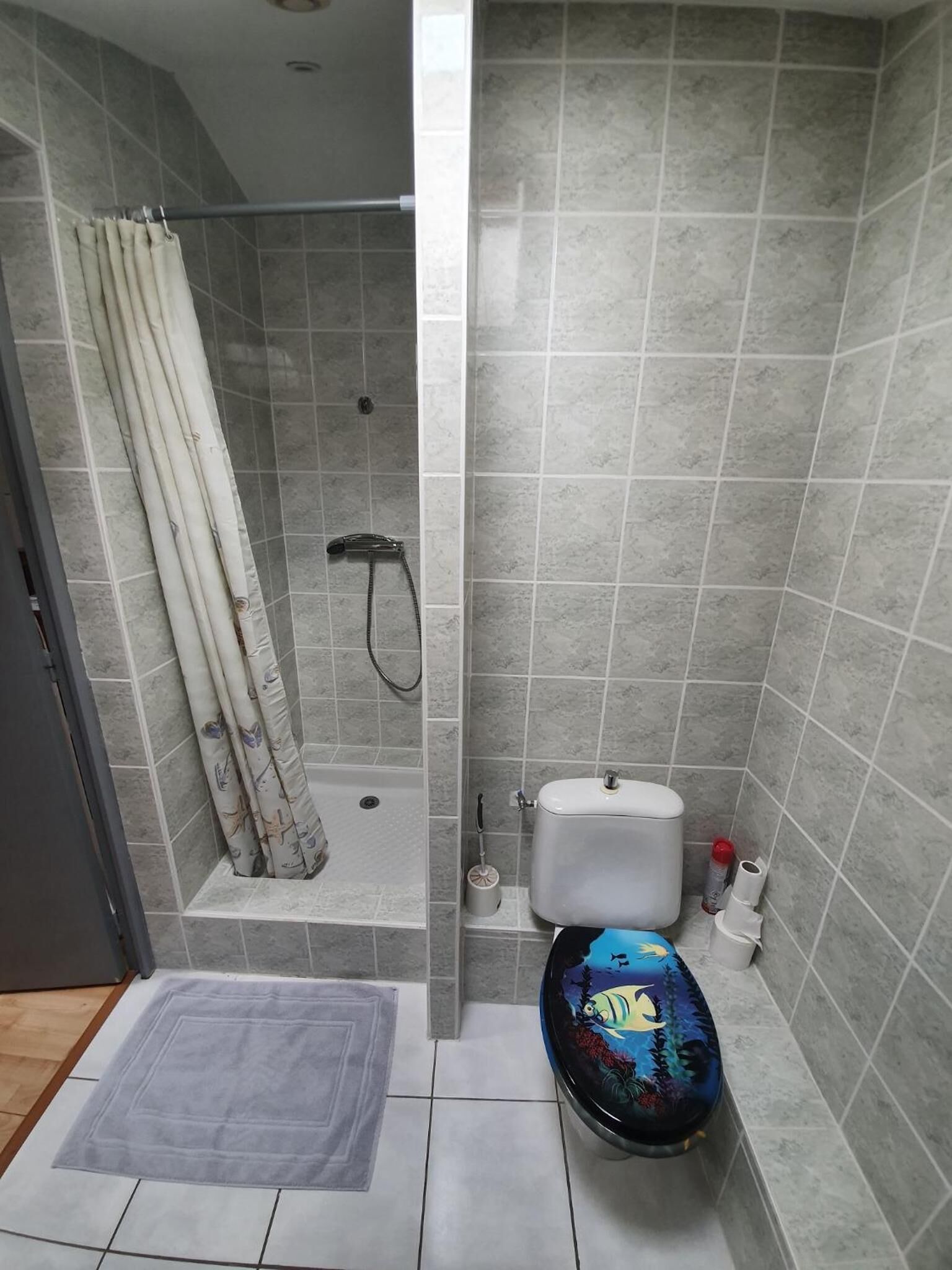 Ein Badezimmer mit Dusche, Toilette und Teppich.