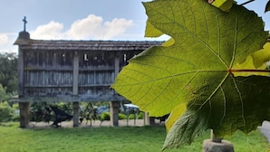 A rustic building with a cross on top, surrounded by greenery.