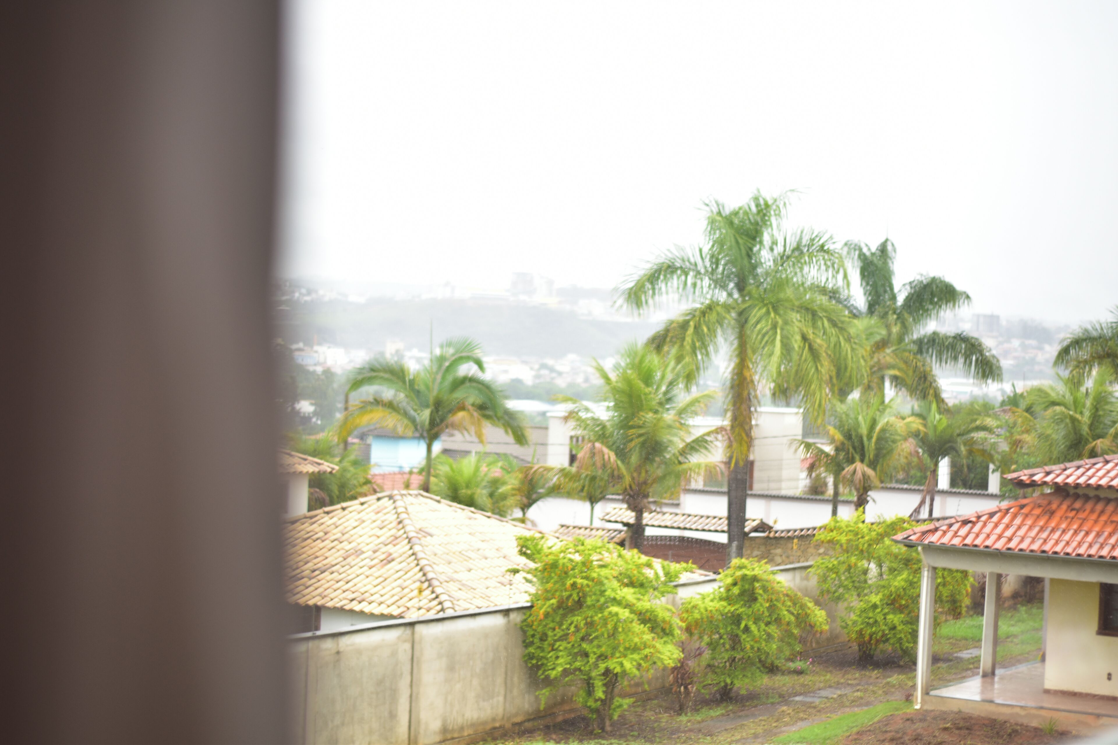 Zona residencial con casas, palmeras y una vista de un paisaje urbano lejano.