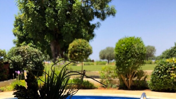 A poolside table with a vase, lemons, and mugs. - Angelos Junior Villa with pool HG22 (Kouklia)