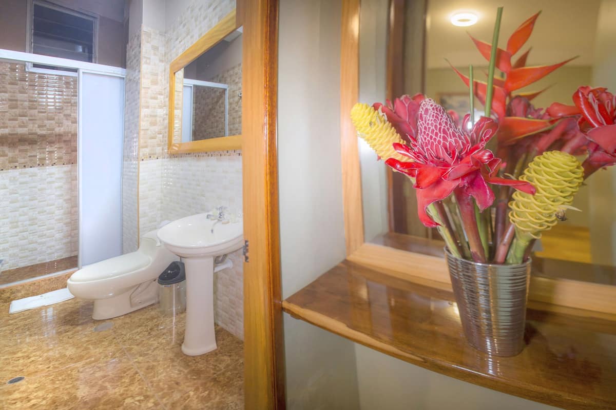 double room, 1 queen bed, private bathroom | bathroom | shower, free toiletries, hair dryer, towels