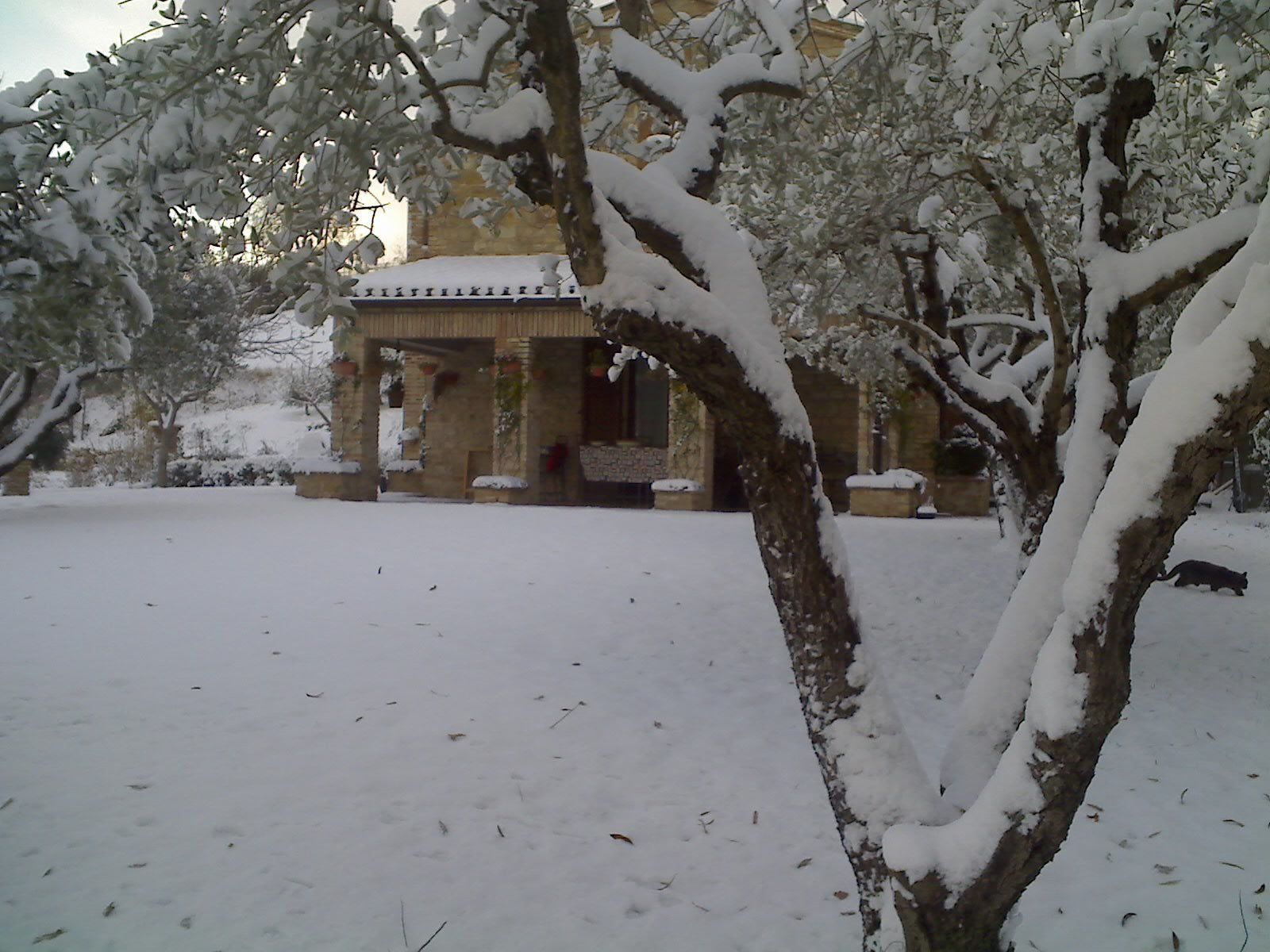 Ein mit Schnee bedeckter Innenhof mit einem Steinhaus im traditionellen Baustil.