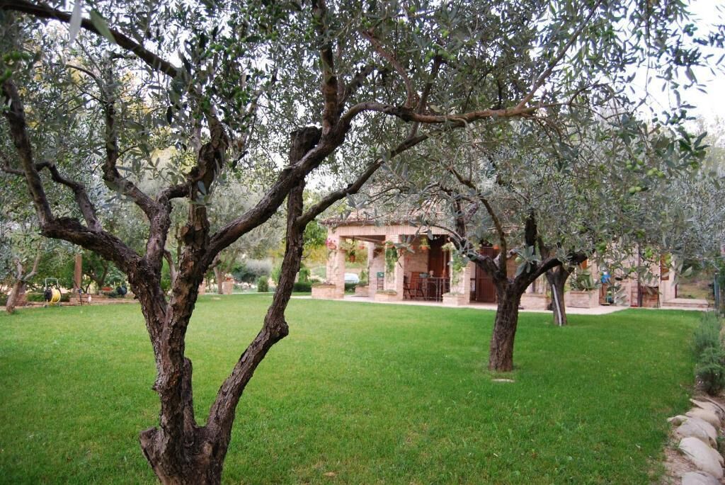 Une cour agrémentée d’arbres adultes, un bâtiment en briques et une pelouse bien entretenue.