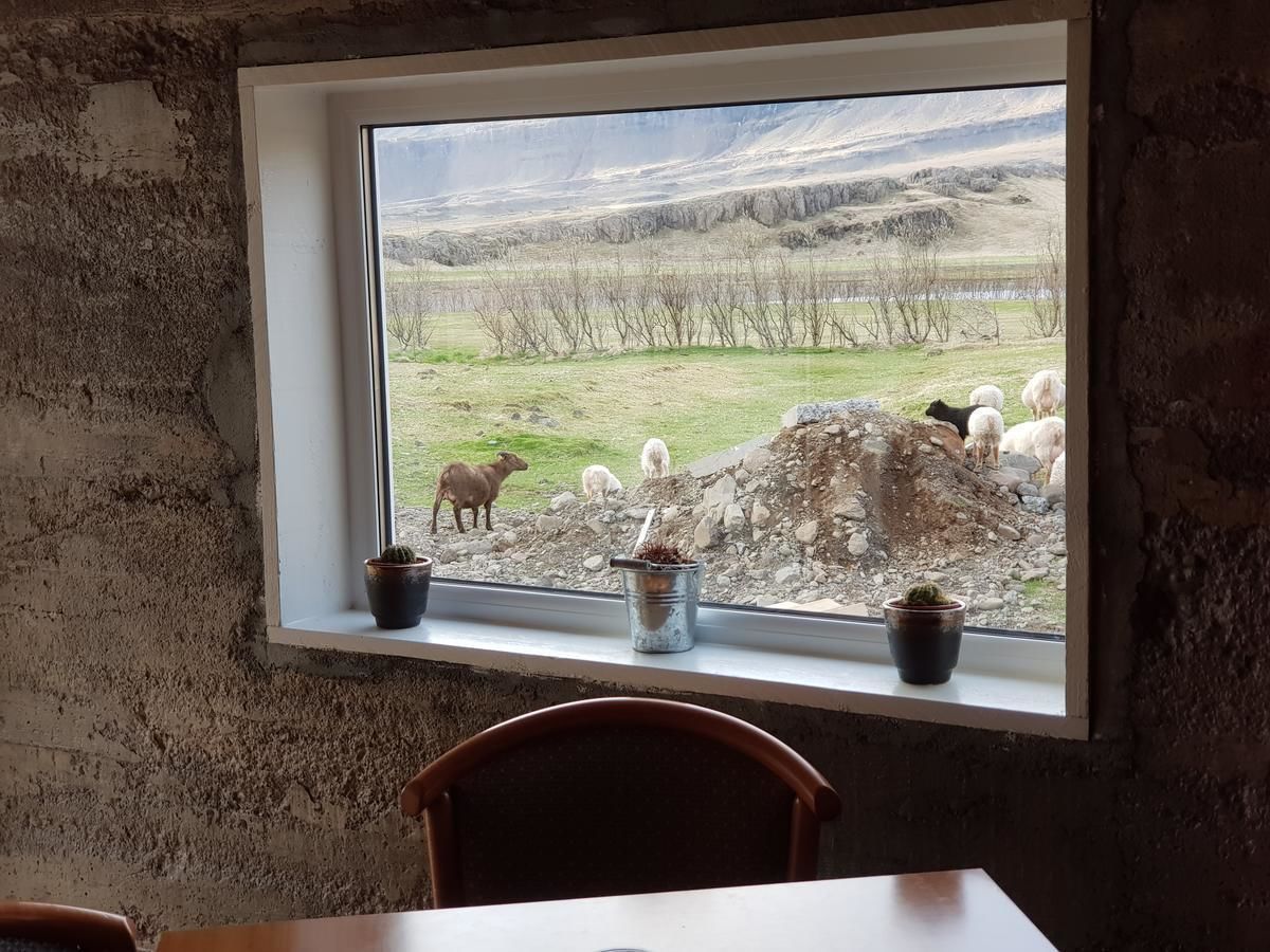 A rustic room with a window overlooking a field with sheep and a cow.