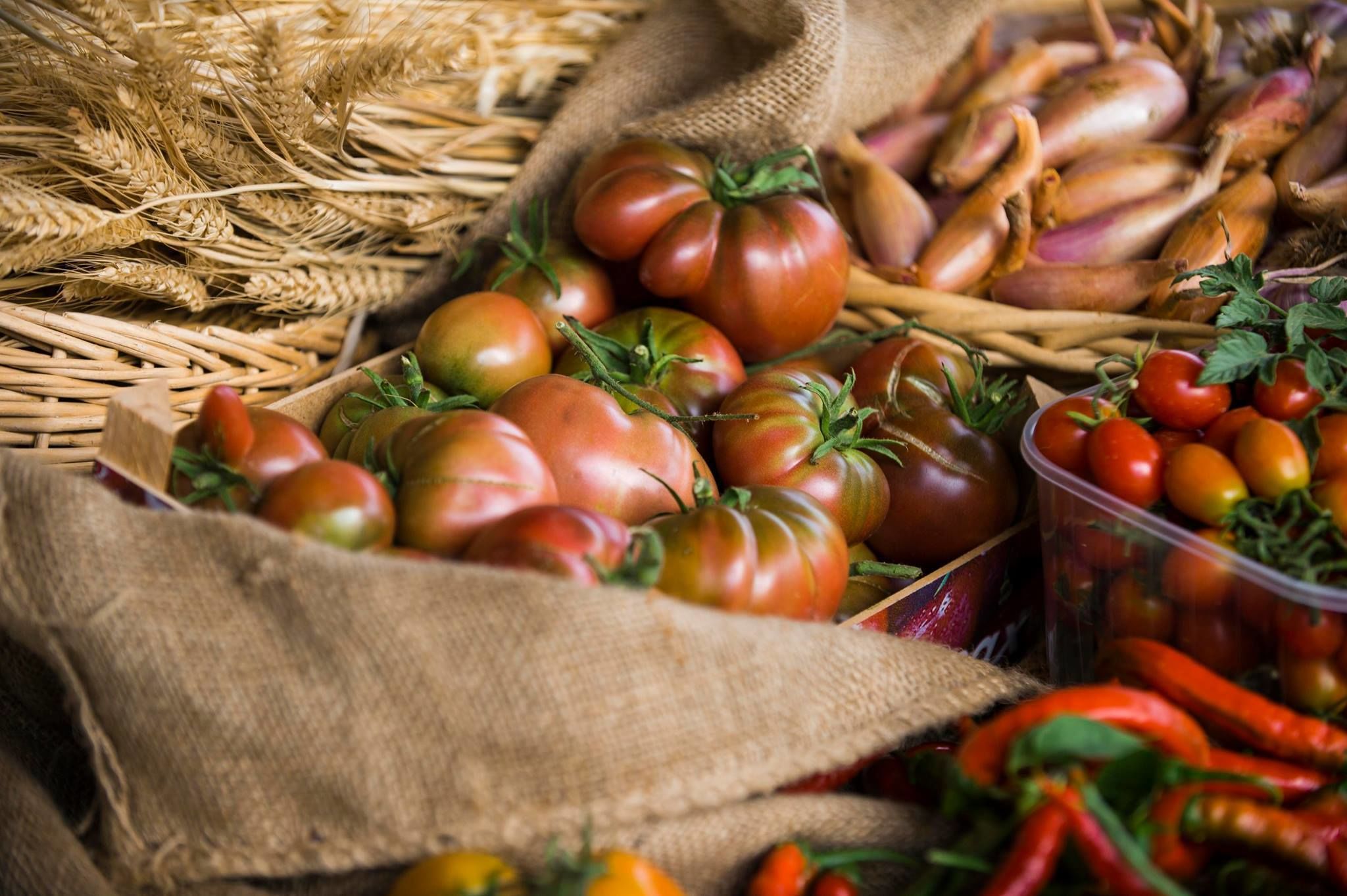 Tiện nghi, dịch vụ nơi lưu trú